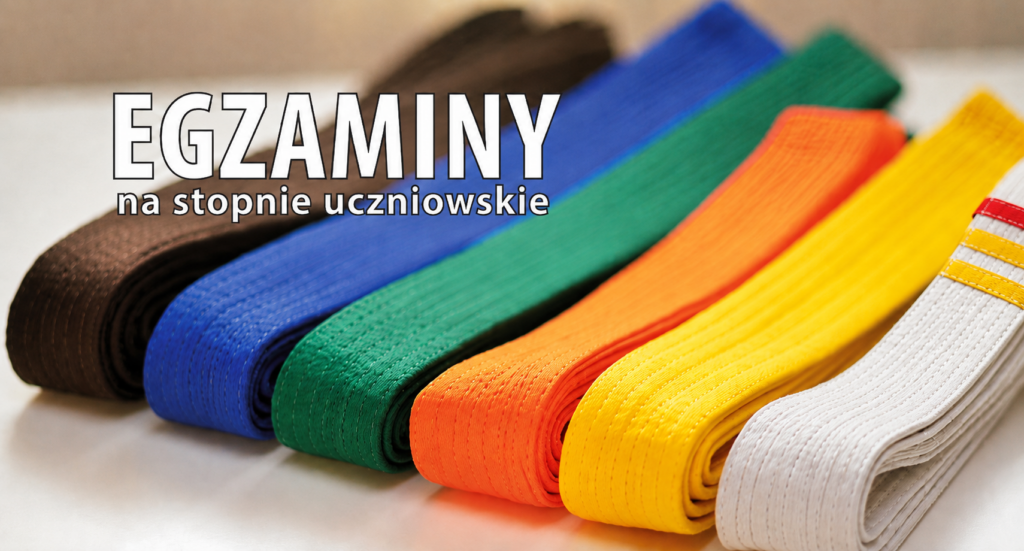 Egzaminy 1 egzamin Aikido na stopień KYU w Aiki-Fit Częstochowa
